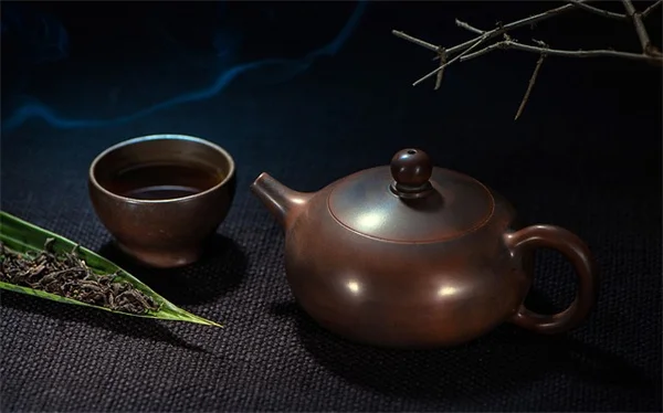 赤脈竹芋の育て方、葉っぱが丸まる原因と対策もプロが解説