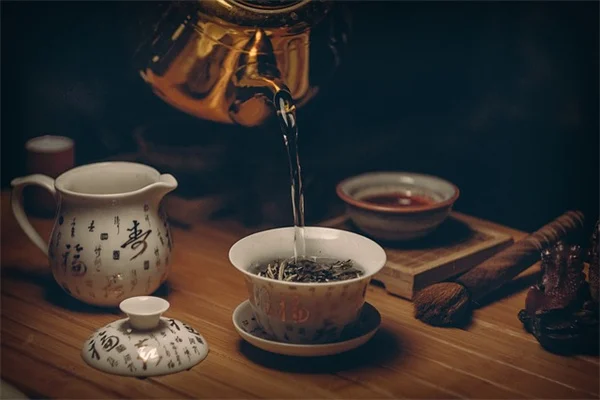 金莲花の育て方とよくある悩みを解決！初心者向けのコツとQA