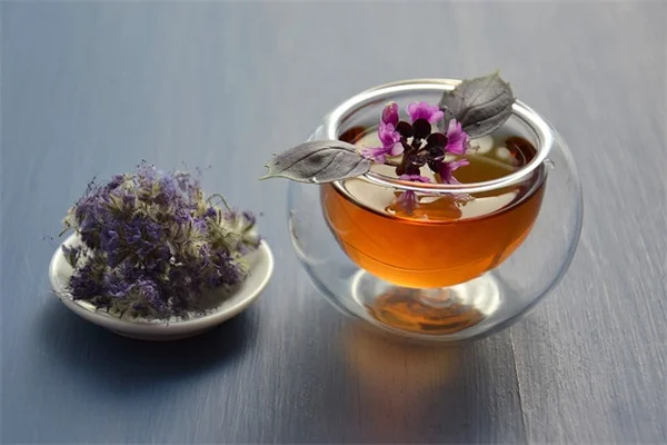 アジサイの花を大きくするには？剪定のコツと失敗しない方法