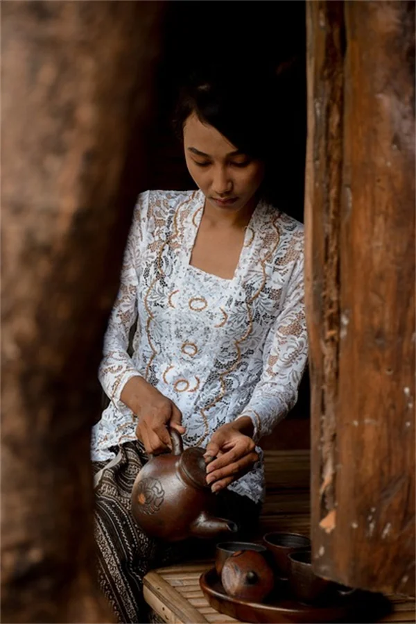 デイジーの種類はこんなにある！育て方のコツもプロが解説
