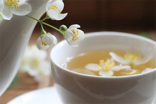 防霜布の効果的な使い方：寒さから植物を守る実践ガイド